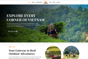 Website design