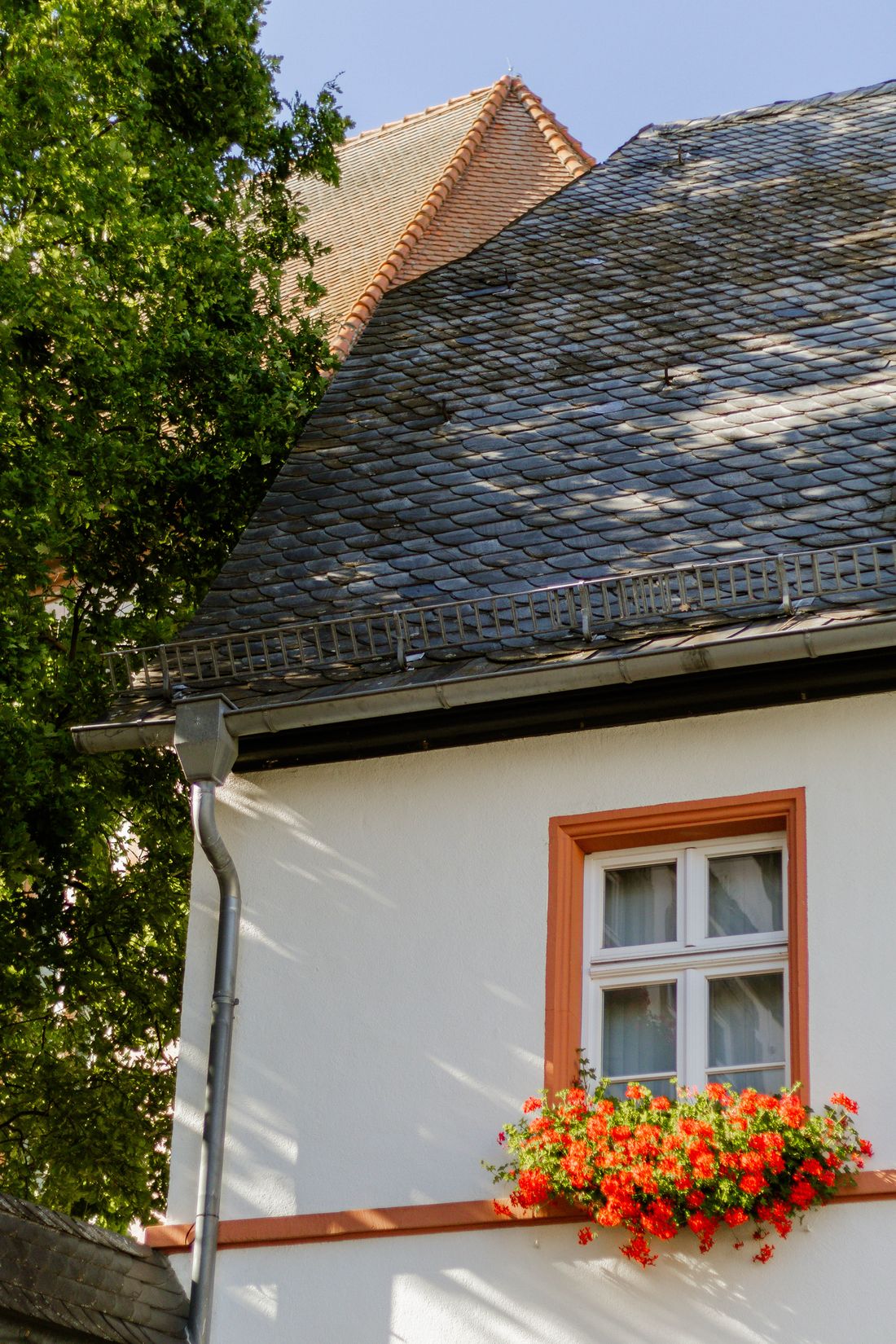 A house with a slate roof and planted surrounds